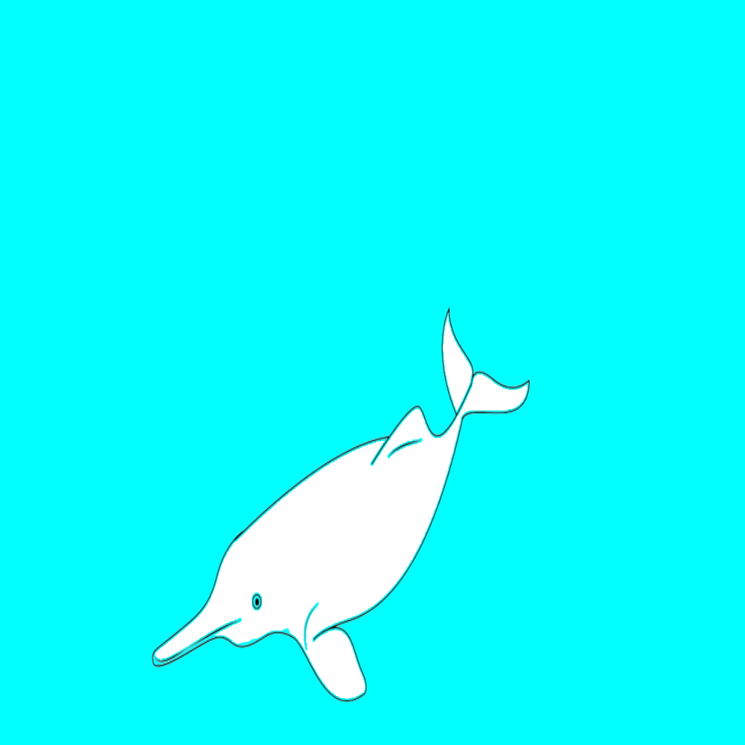 baiji white dolphin